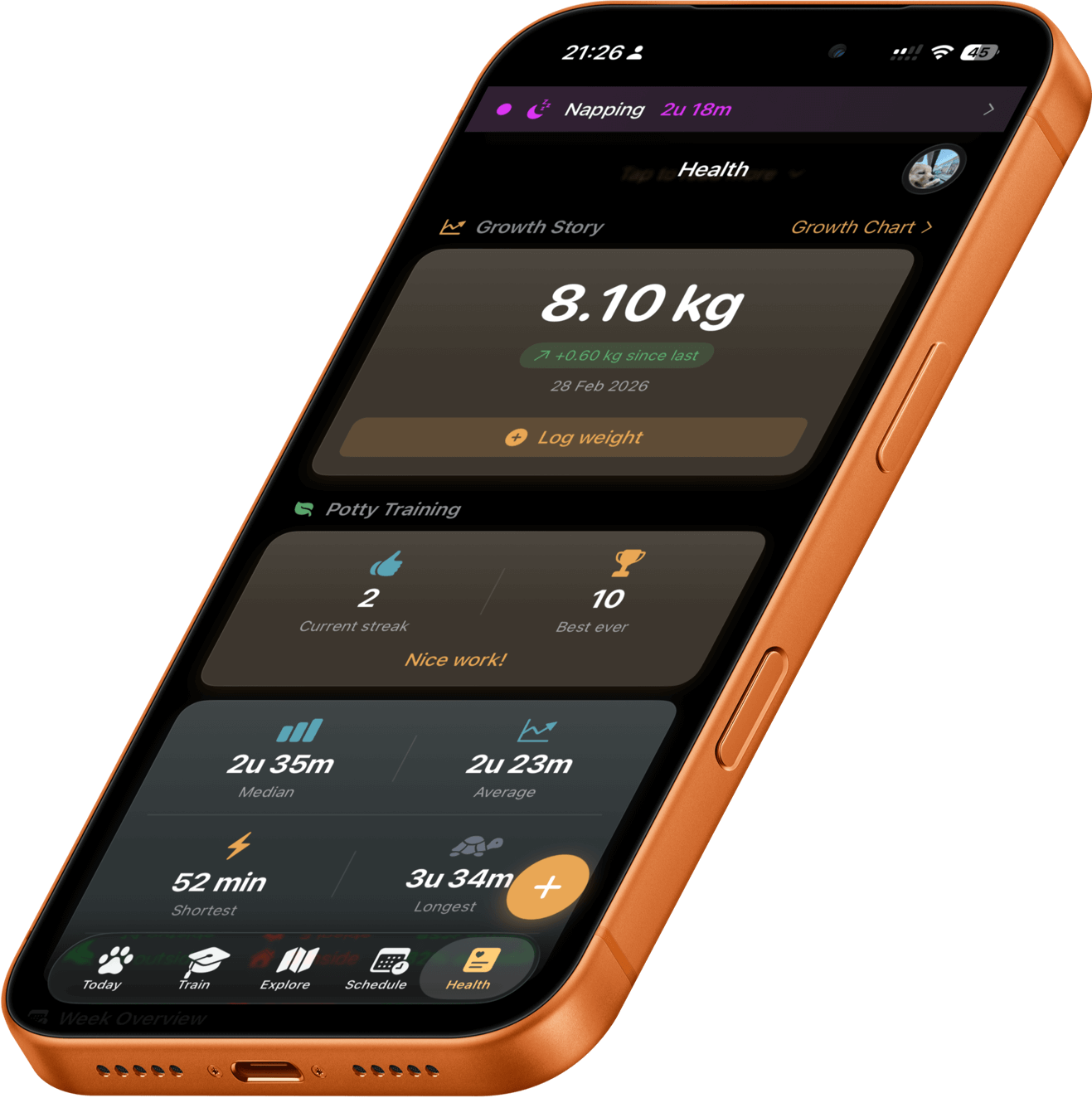 Otis app showing your dog's daily timeline