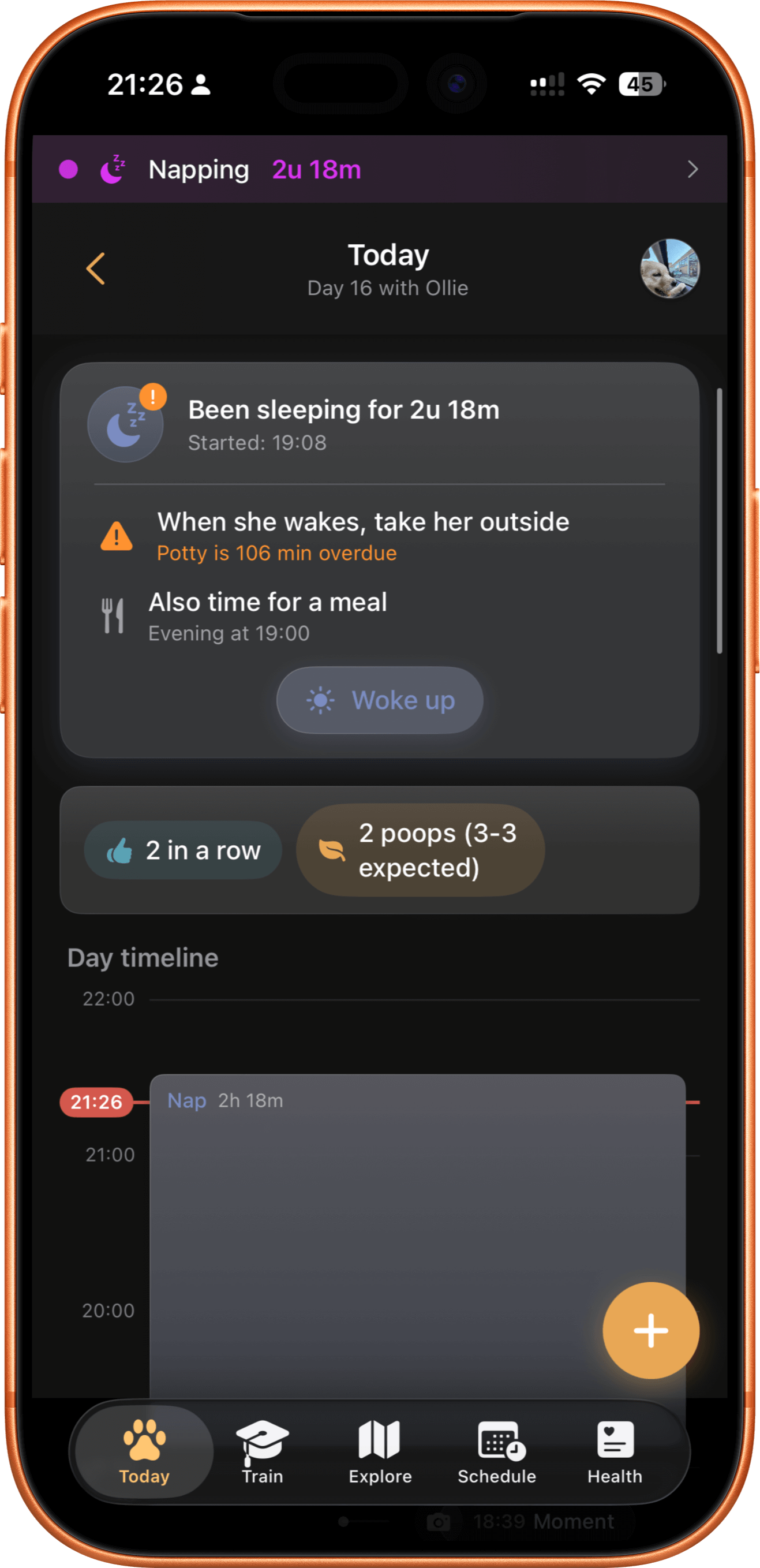 Timeline view showing logged activities