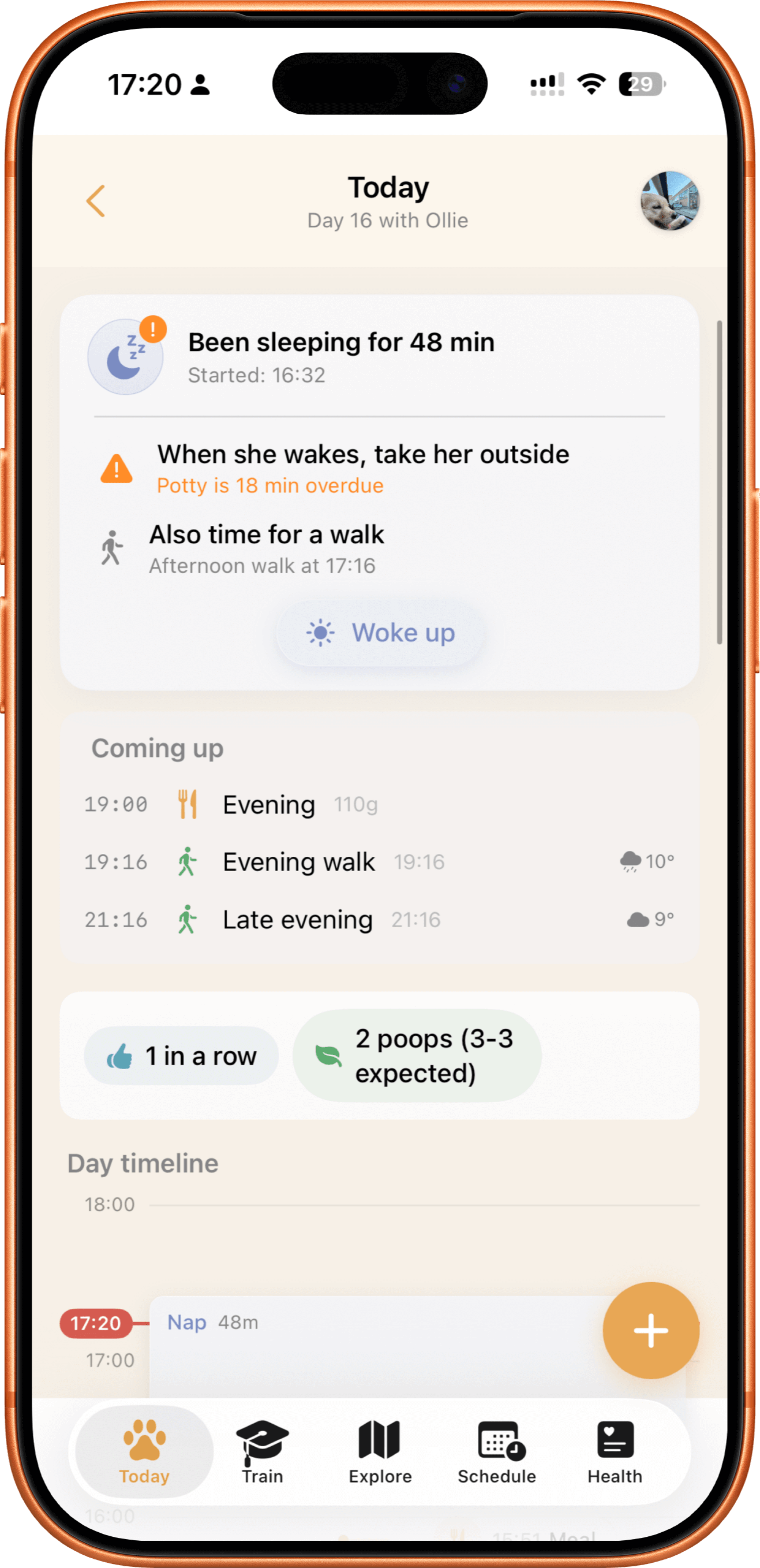 Timeline view showing logged activities