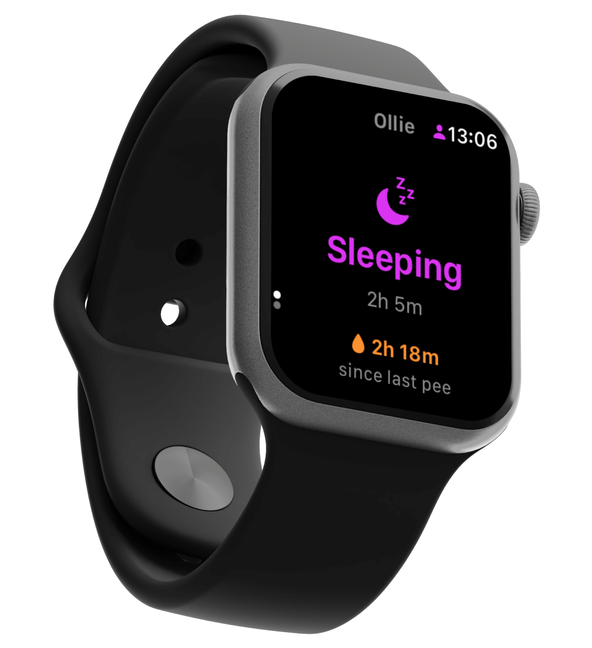 Apple Watch companion app